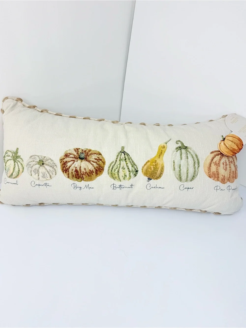 Envogue Harvest Collection Cream Squash Print Soft Woven Fall Accent Pillow NEW